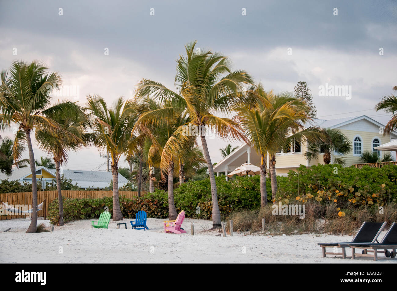 Floride [palmier] [plage] bush accueil chaise de plage Banque D'Images