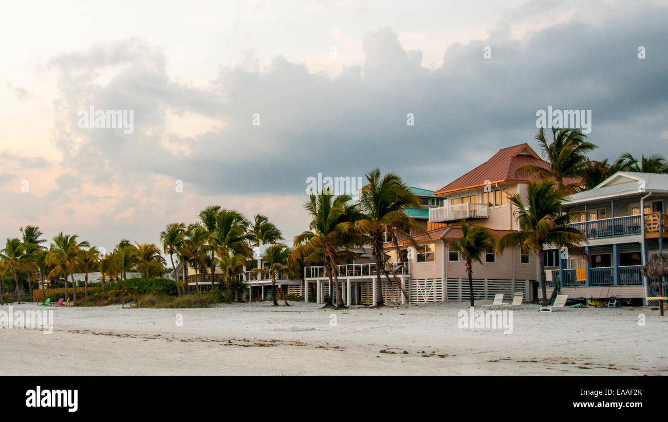 Floride [palmier] beach accueil bush Banque D'Images