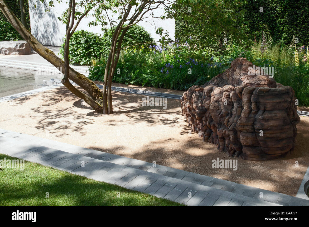 Chelsea Flower Show 2014. Lit de gravier contenant un arbre Amelanchier et un grand rocher avec une frontière herbacées derrière contenant Ir Banque D'Images