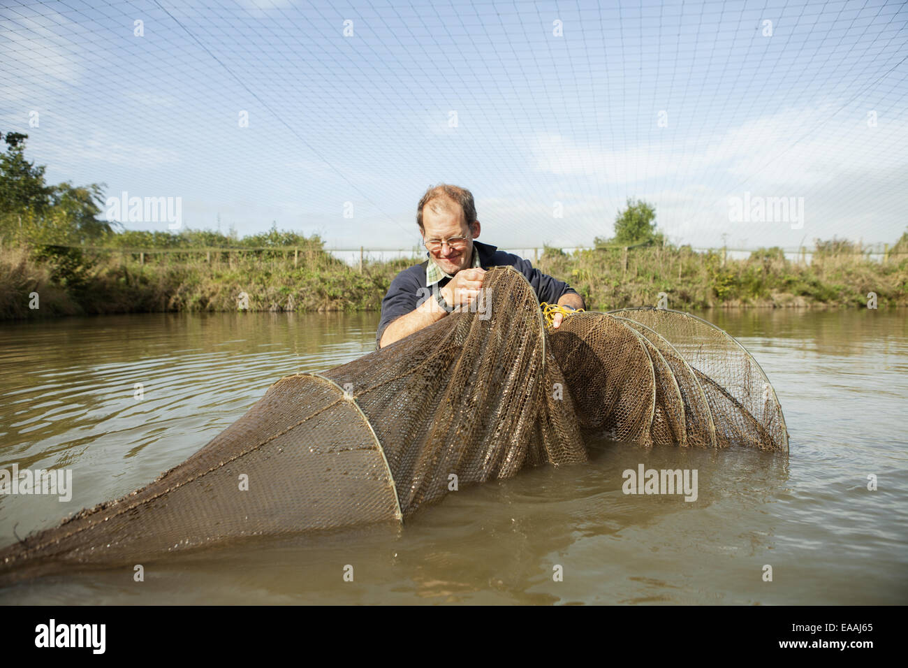 Un homme debout dans l'eau taille haute, avec un long filet de pêche, la carpe. Banque D'Images