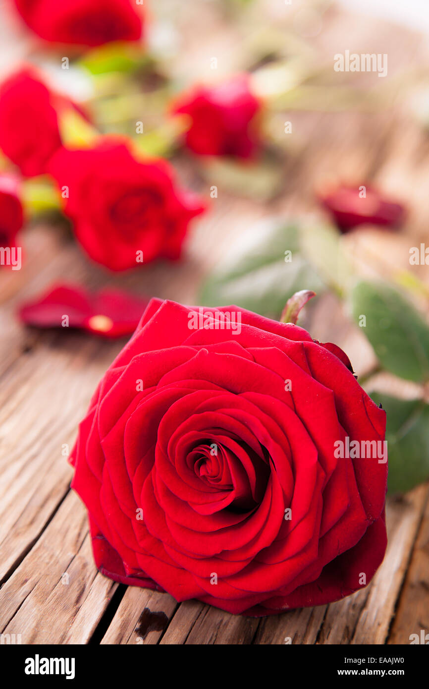 Détail de roses rouges sur bois, faible profondeur de champ Banque D'Images