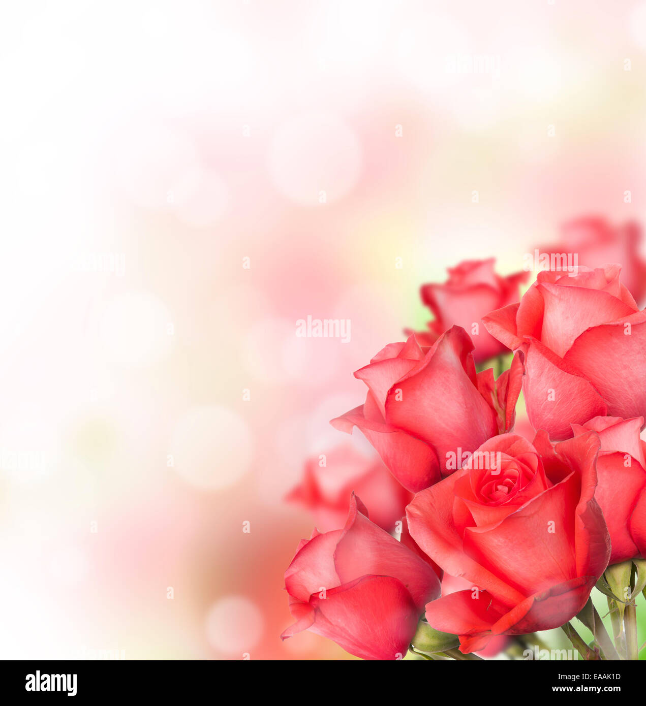Bouquet de roses rouges avec de l'espace libre pour le texte Banque D'Images