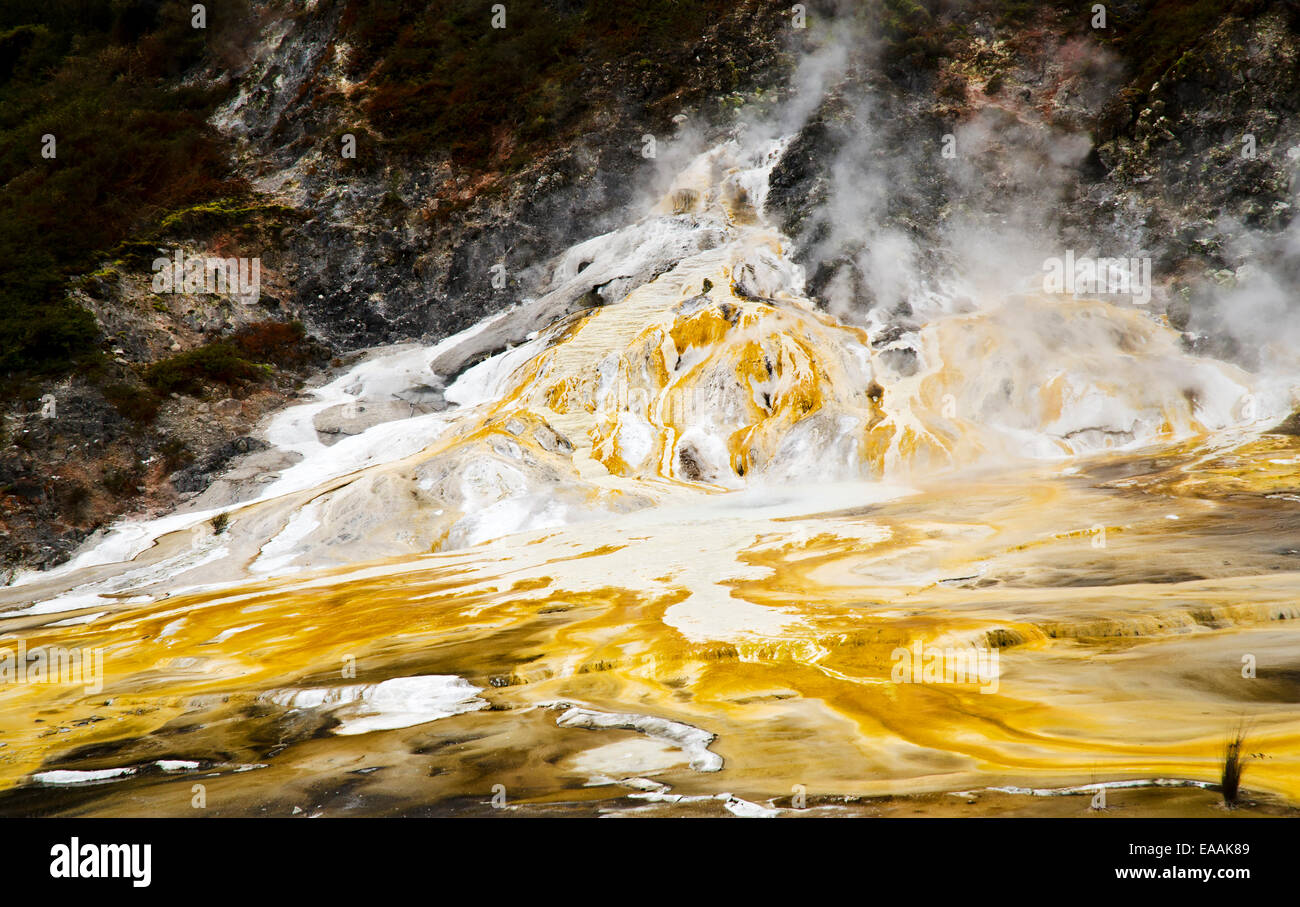 L'activité géothermique Orakei Korako, à la Nouvelle-Zélande. Banque D'Images