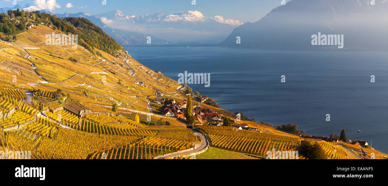 Le Village d'Epesses dans l'aire de patrimoine mondial de Lavaux, Suisse Banque D'Images