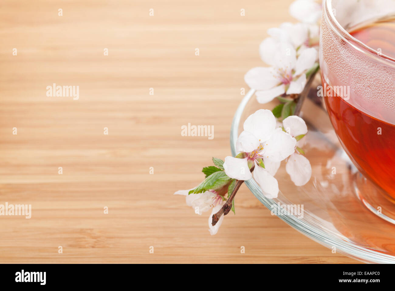 Le thé vert japonais et sakura direction générale au cours de mat et bambou table avec copie espace Banque D'Images