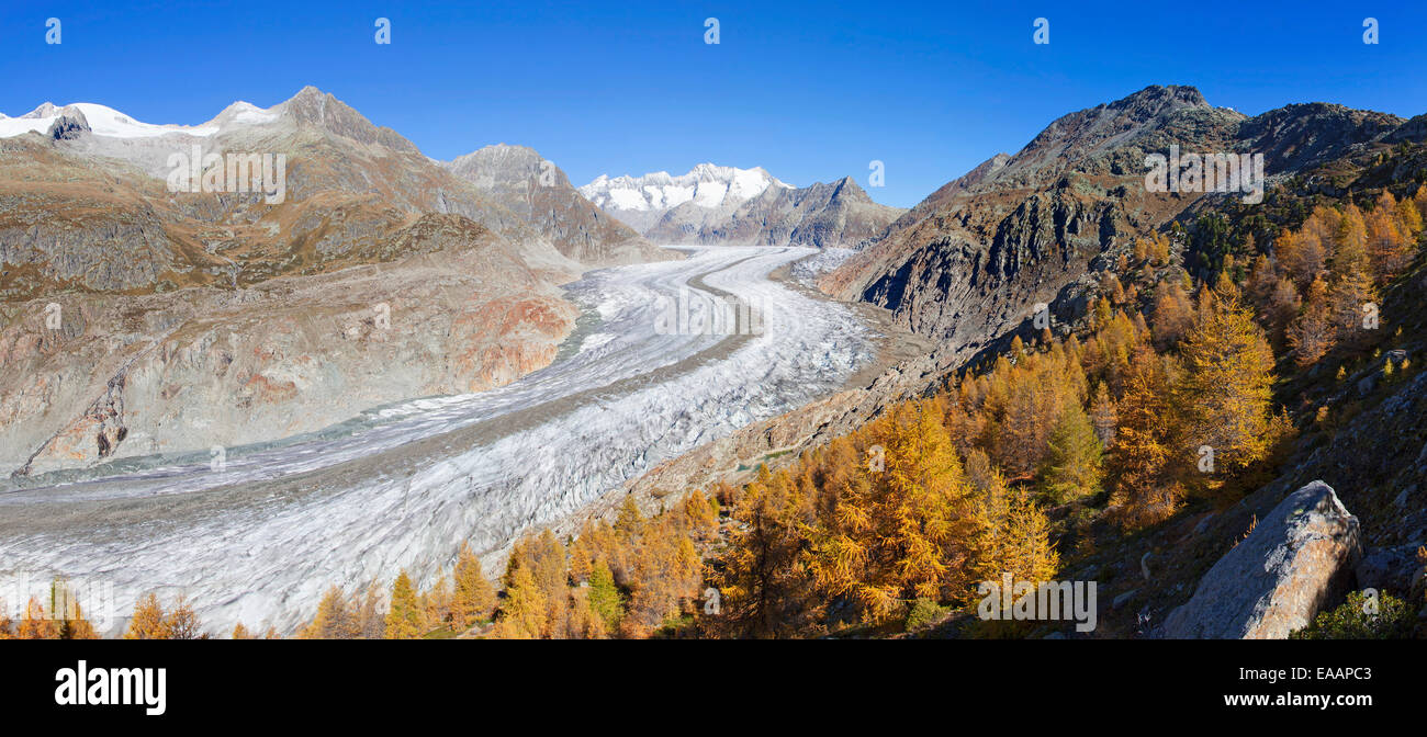 Glacier d'Aletsch, en Suisse Banque D'Images