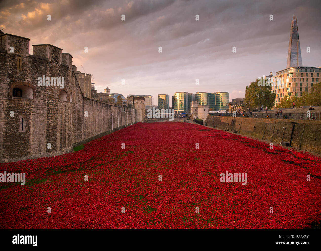 Les terres et les mers de sang ont balayé de rouge Banque D'Images