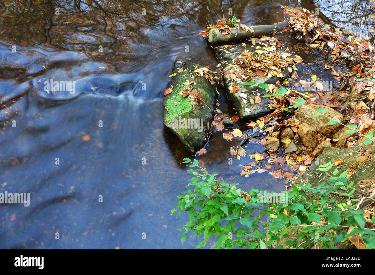 USA Maryland MD Rock Creek Park les feuilles d'automne sur l'eau s'engouffre par les roches Banque D'Images