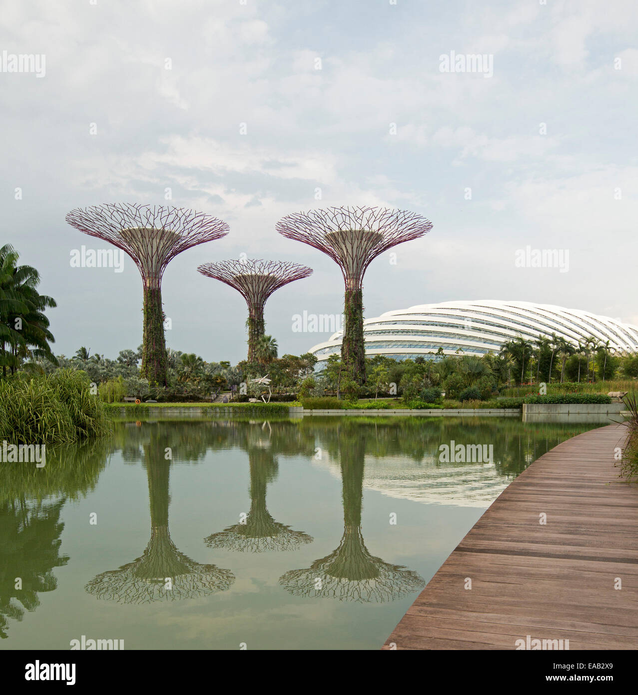 Les arbres artificiels haut unique et immense coupole en verre / véranda reflète dans les eaux calmes du lac, les jardins de la Baie , Singapour Banque D'Images