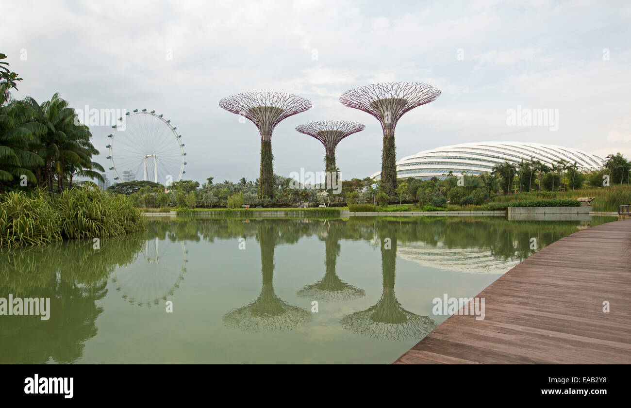Les arbres artificiels unique roue d'observation, & grand dôme en verre reflète dans les eaux calmes du lac dans les jardins de la baie à Singapour Banque D'Images