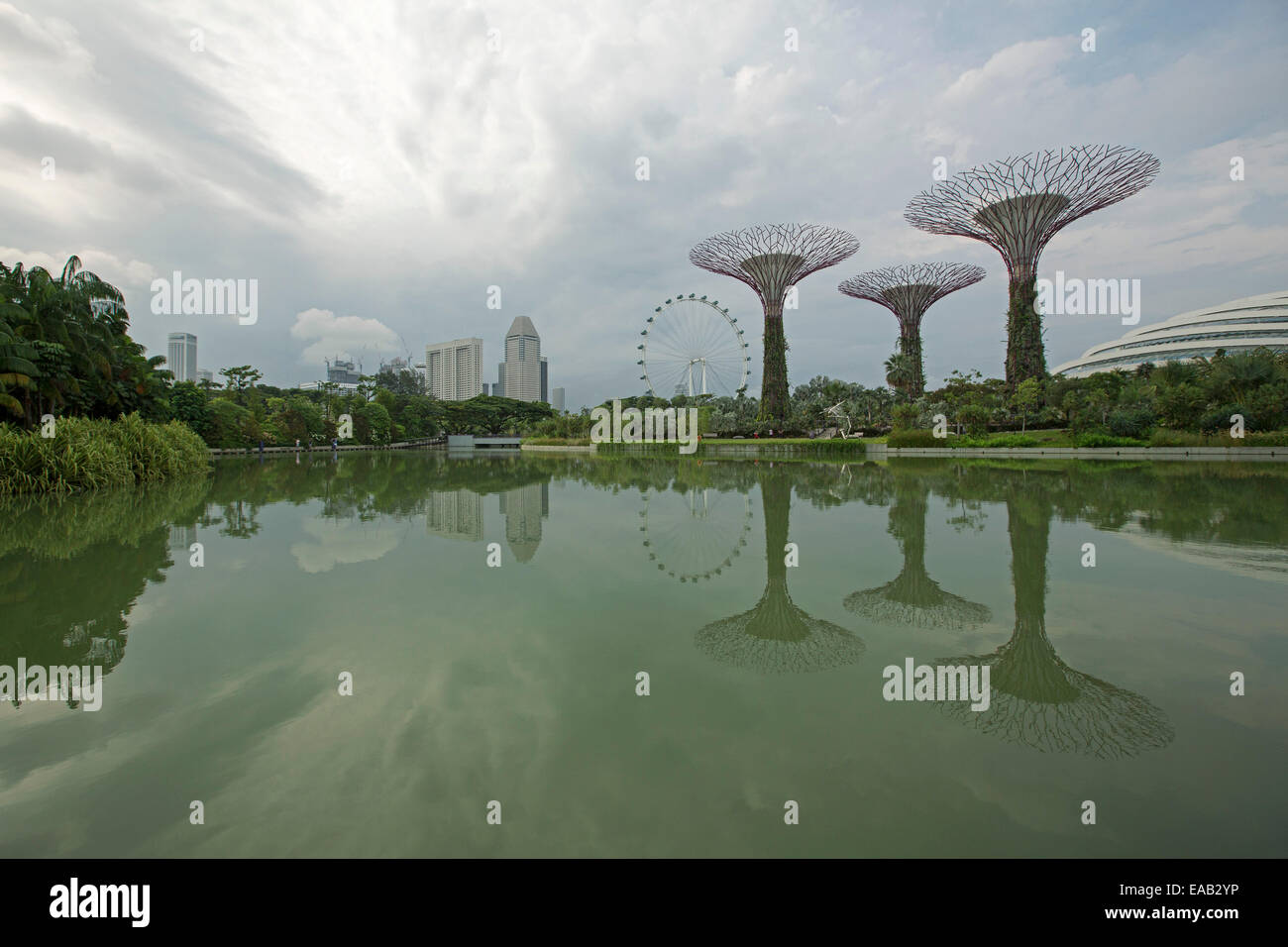 Les arbres artificiels uniques, city skyscrapers & roue d'observation reflétée dans les eaux calmes du lac dans les jardins de la baie à Singapour Banque D'Images