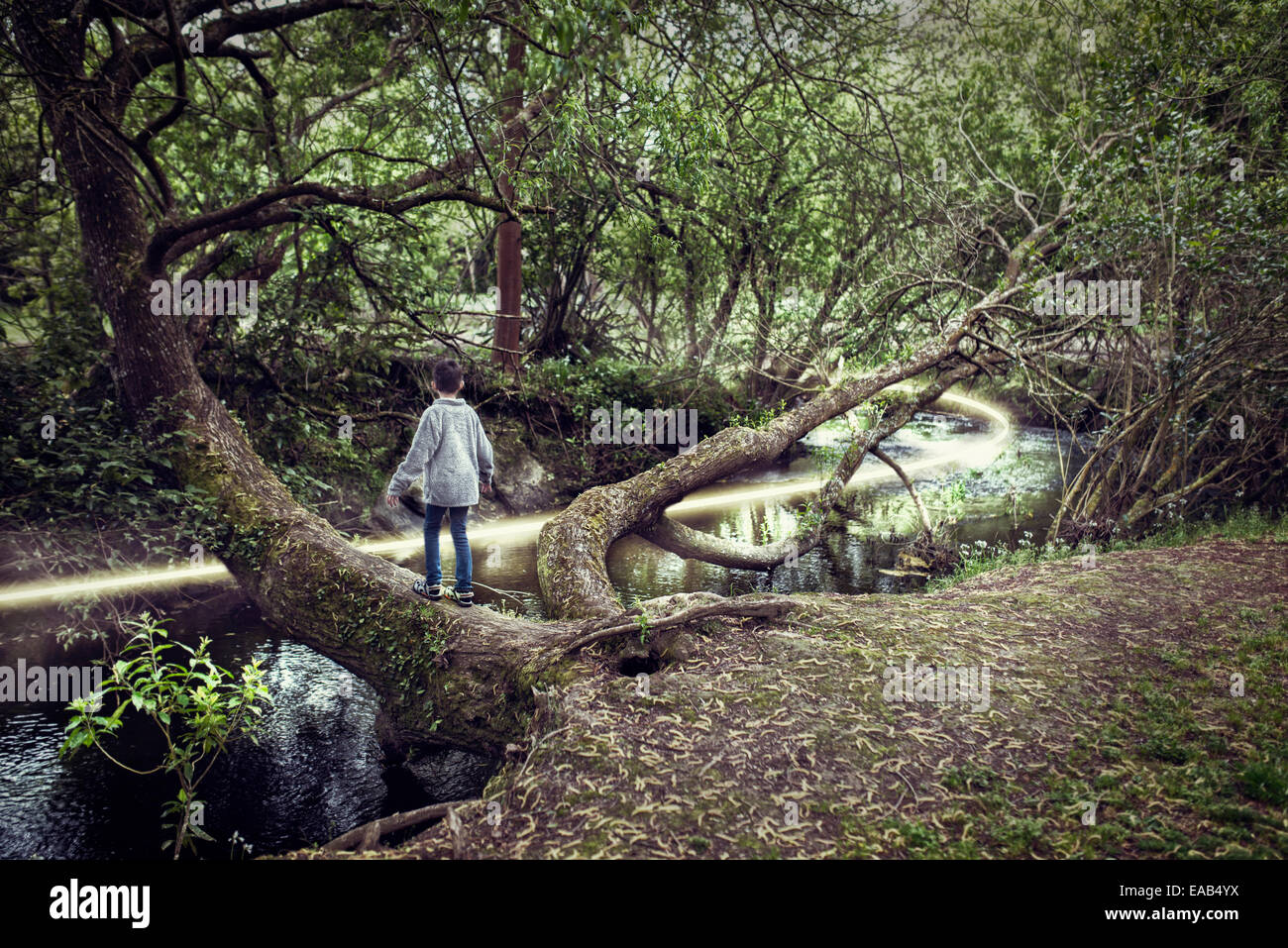 Garçon sur arbre de plus de rivière avec chemin de lumière Banque D'Images