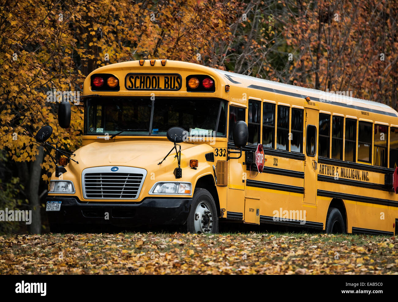 School bus sur la route d'automne en milieu rural. Banque D'Images