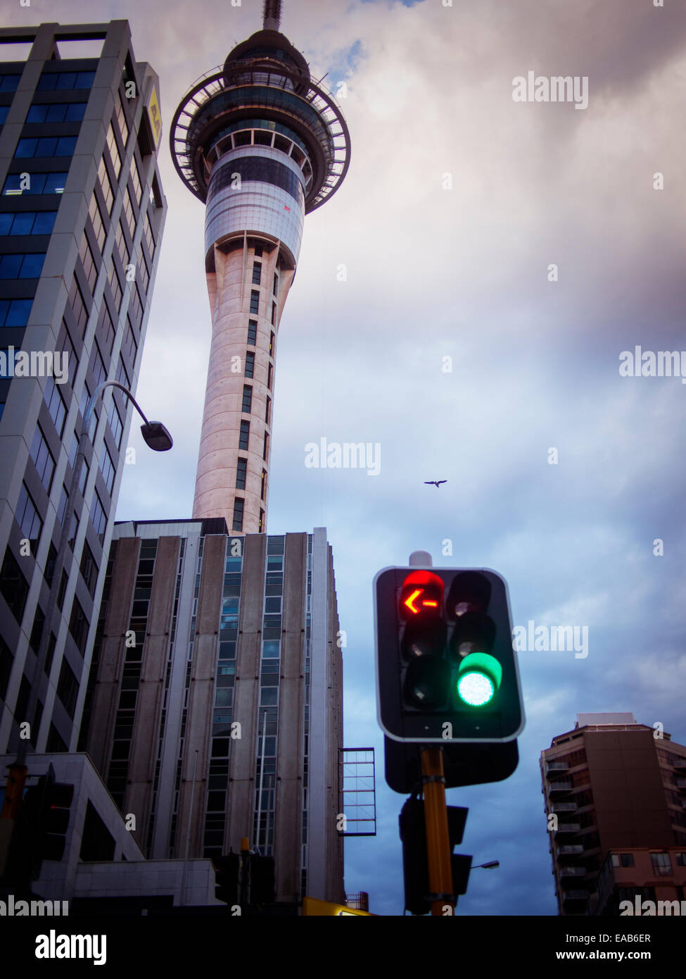 Auckland Sky Tower et feux de circulation Banque D'Images