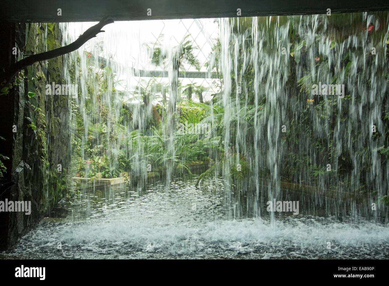 Vue de derrière le rideau de l'eau fraîche d'une cascade de vert de la forêt de nuages à Singapour's Gardens By The Bay Banque D'Images
