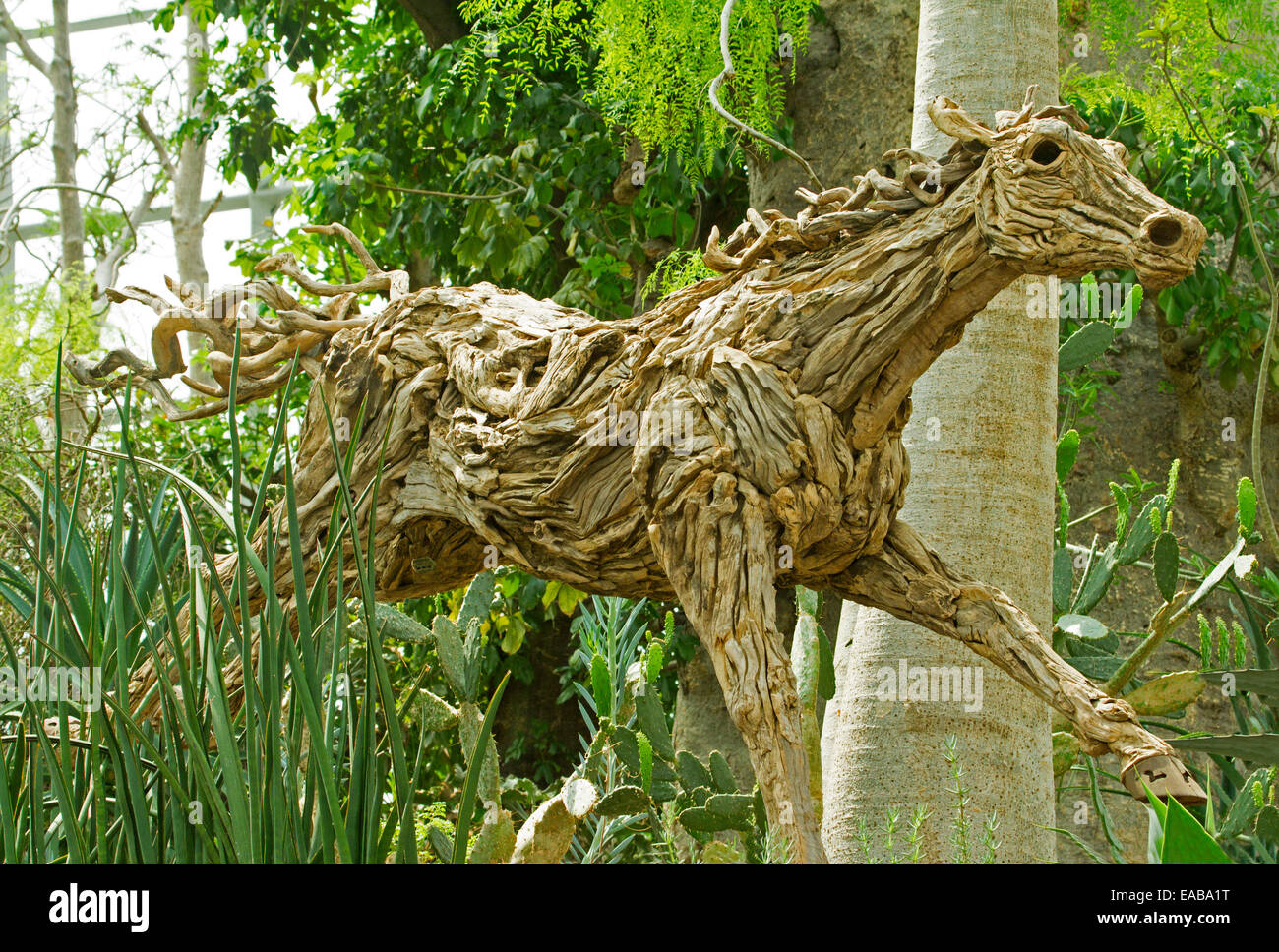 Unique et spectaculaire statue grandeur cheval au galop sculpté de masse unique d'emmêler les racines des arbres Banque D'Images