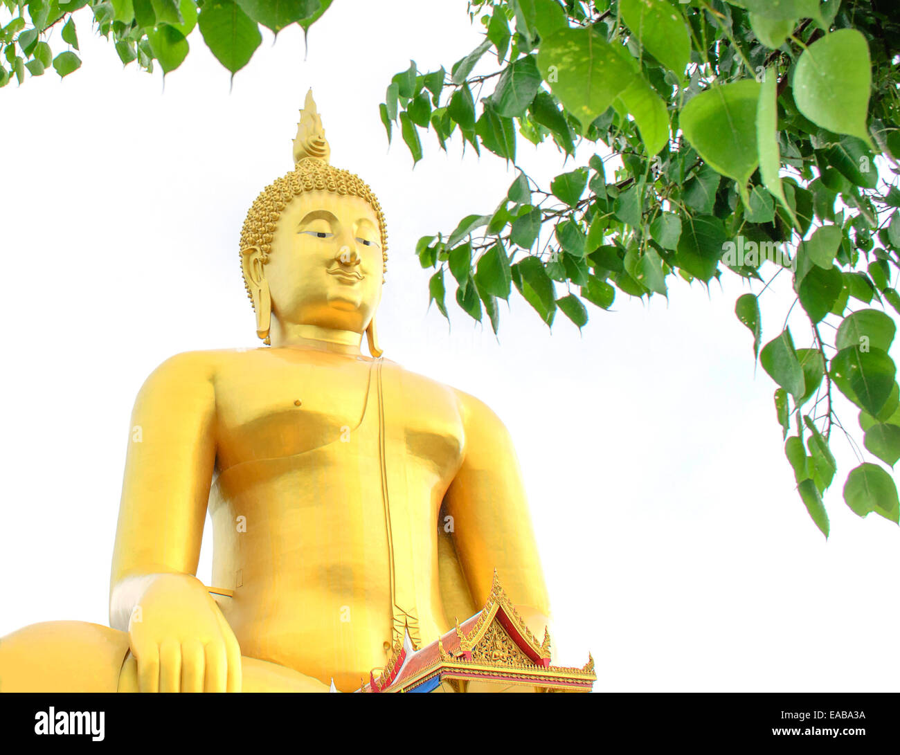L'image du Bouddha assis doré et pipal feuille sur fond blanc. Banque D'Images