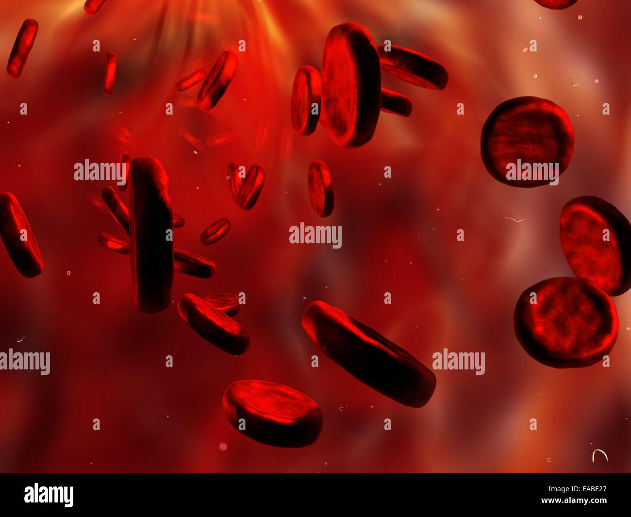 Les globules rouges du sang. Banque D'Images