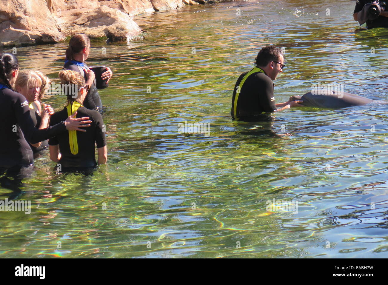 Discovery Cove Seaworld Orlando Floride Banque D'Images