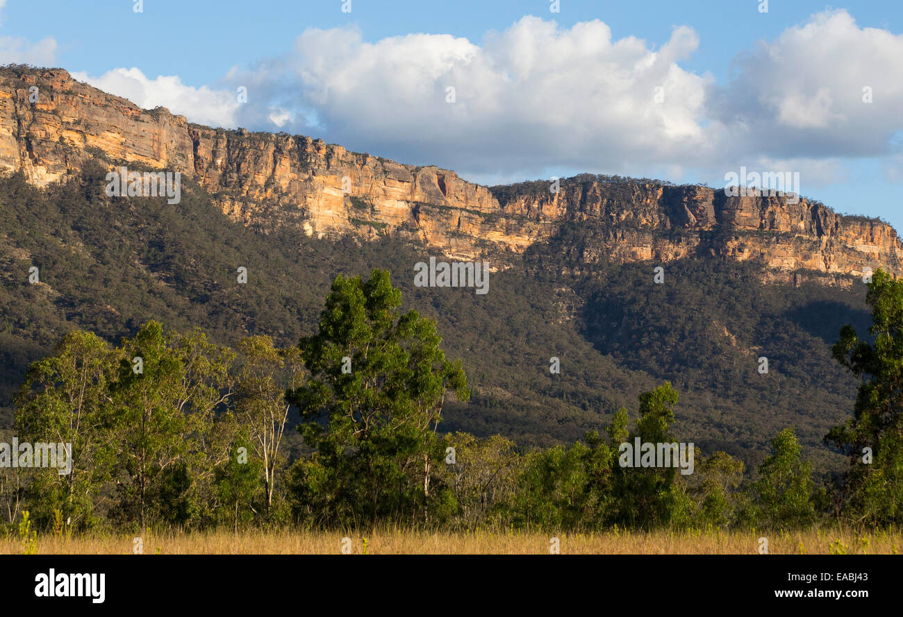 Vue sur le bush et ses falaises de grès robuste en parc national de Blue Mountains, NSW, Australie Banque D'Images