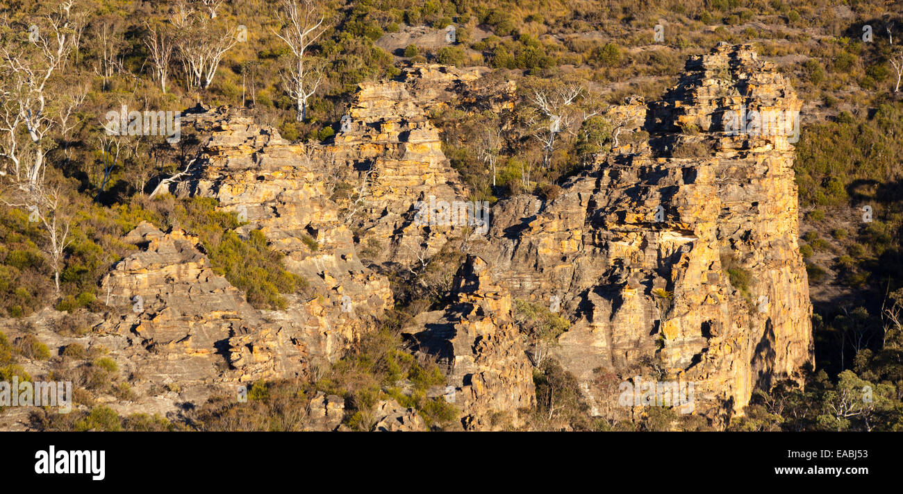 Vue sur le bush et affleurements de grès robuste en parc national de Blue Mountains, NSW, Australie Banque D'Images