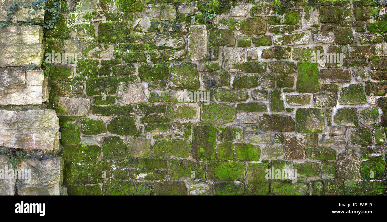Vieux mur de pierres naturelles moussu Banque D'Images