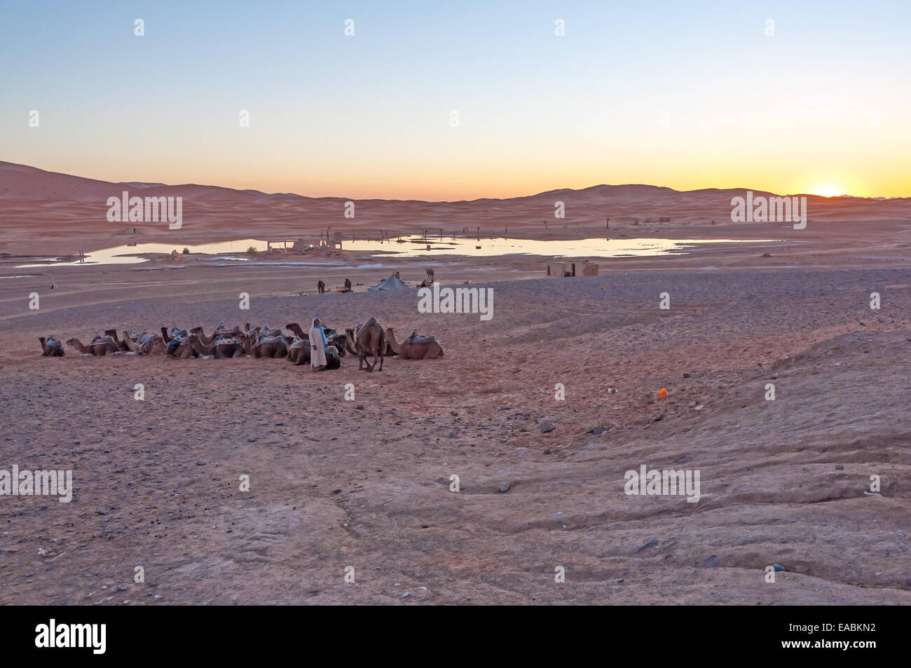 Camp bédouin au désert du Sahara au Maroc, l'Afrique Banque D'Images
