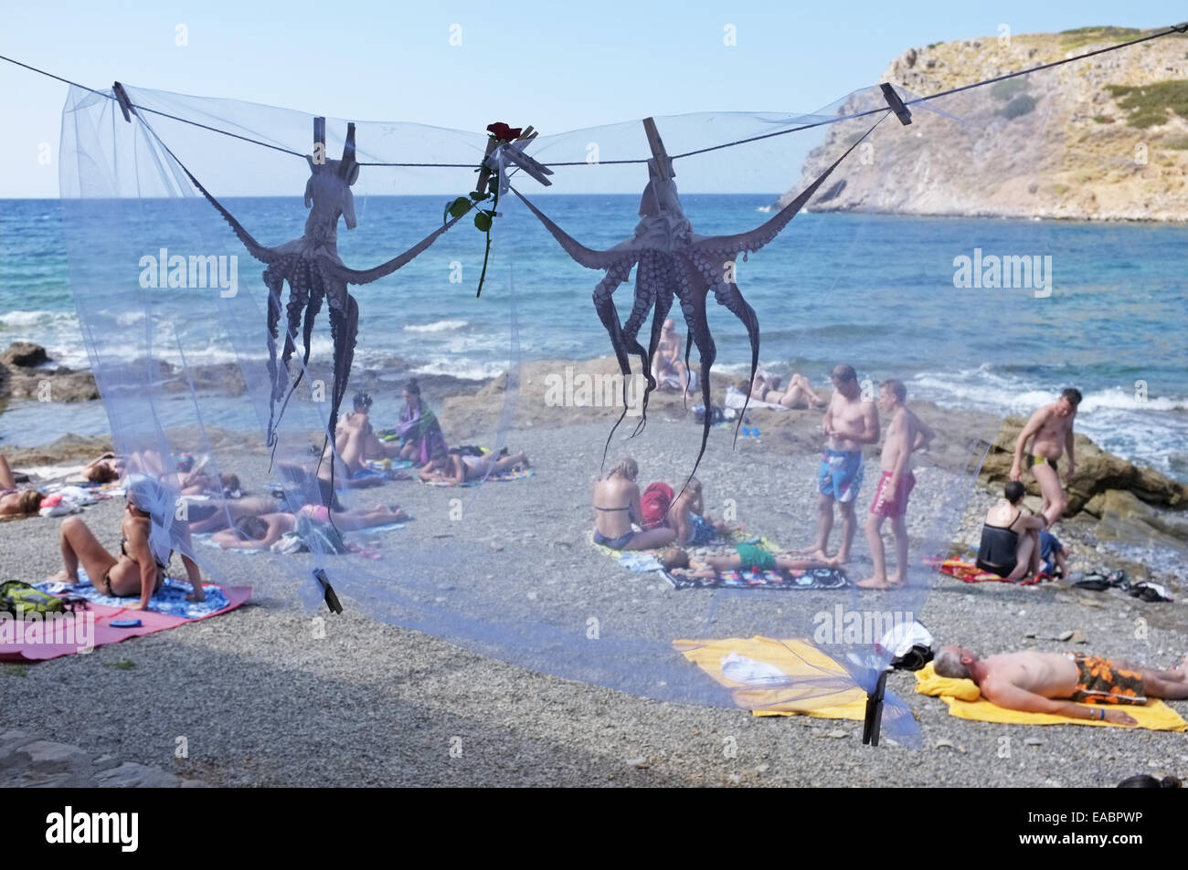 Le séchage de la pieuvre dans un restaurant donnant sur la plage à Mochlos, Crete Banque D'Images