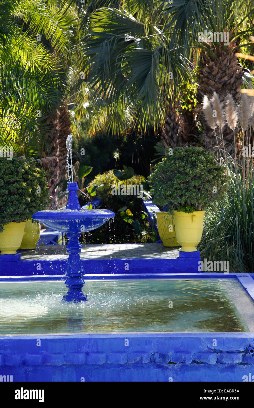 Le Maroc, Marrakech, Jardin Majorelle Banque D'Images