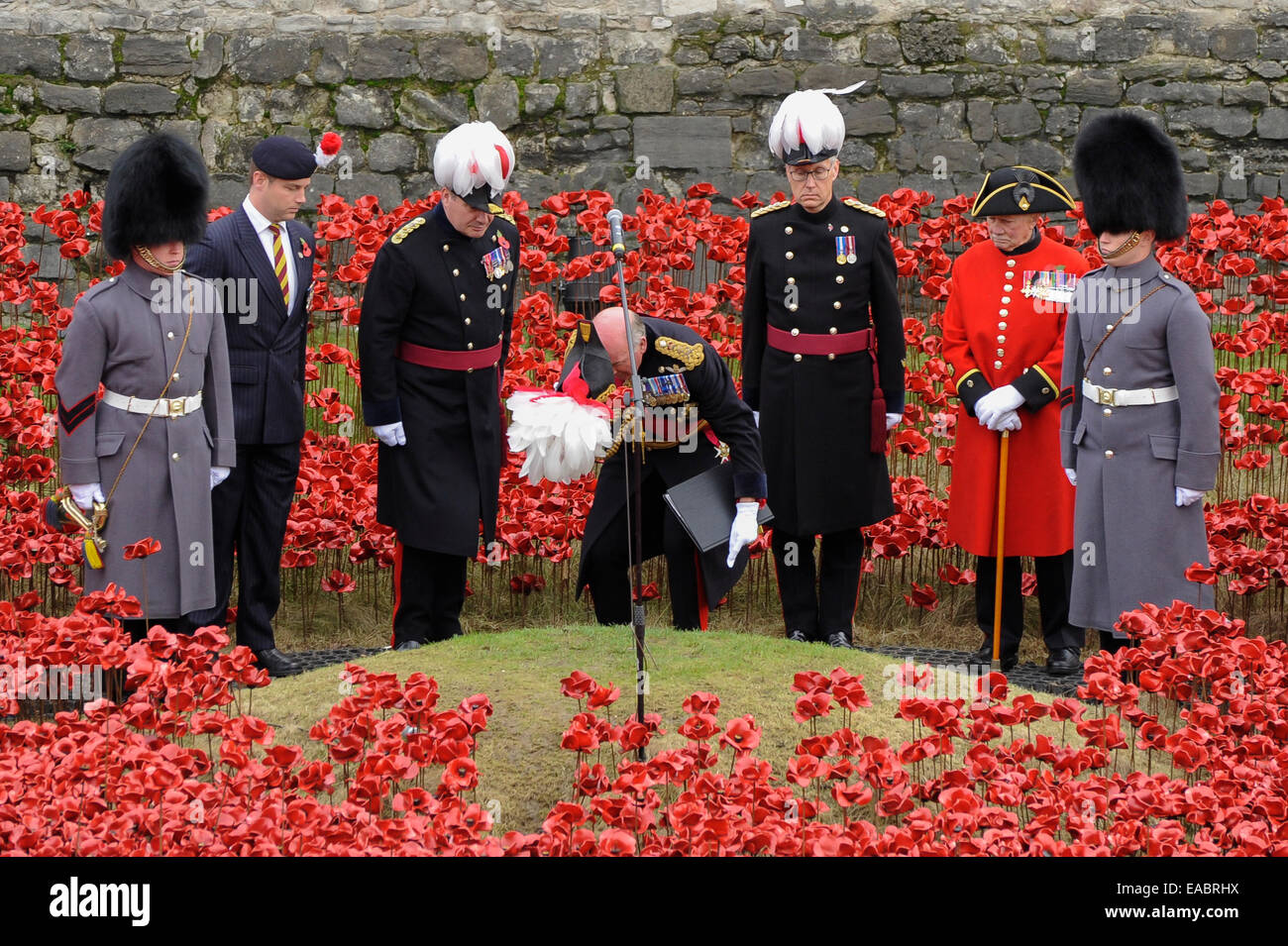 Londres, Royaume-Uni. 11 novembre, 2014. Le jour de l'Armistice à la Tour de Londres, le dernier coquelicot céramique de la 888 246 comprenant le 'Paul' art installation Cummins 'Blood a balayé les terres et de la Mer Rouge est planté par un jeune cadet. Chaque coquelicot représente un militaire coloniale britannique ou du décès pendant la Première Guerre mondiale. Sur la photo : le général lord Dannatt, connétable de la Tour de Londres trébuche sur le monticule glissante. Crédit : Stephen Chung/Alamy Live News Banque D'Images