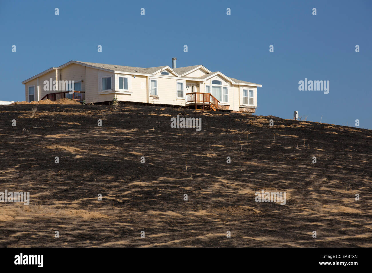 Sol brûlé dans une forêt près de Bakersfield, Californie, USA. À la suite d'une sécheresse sans précédent de quatre ans, Bakersfield i Banque D'Images
