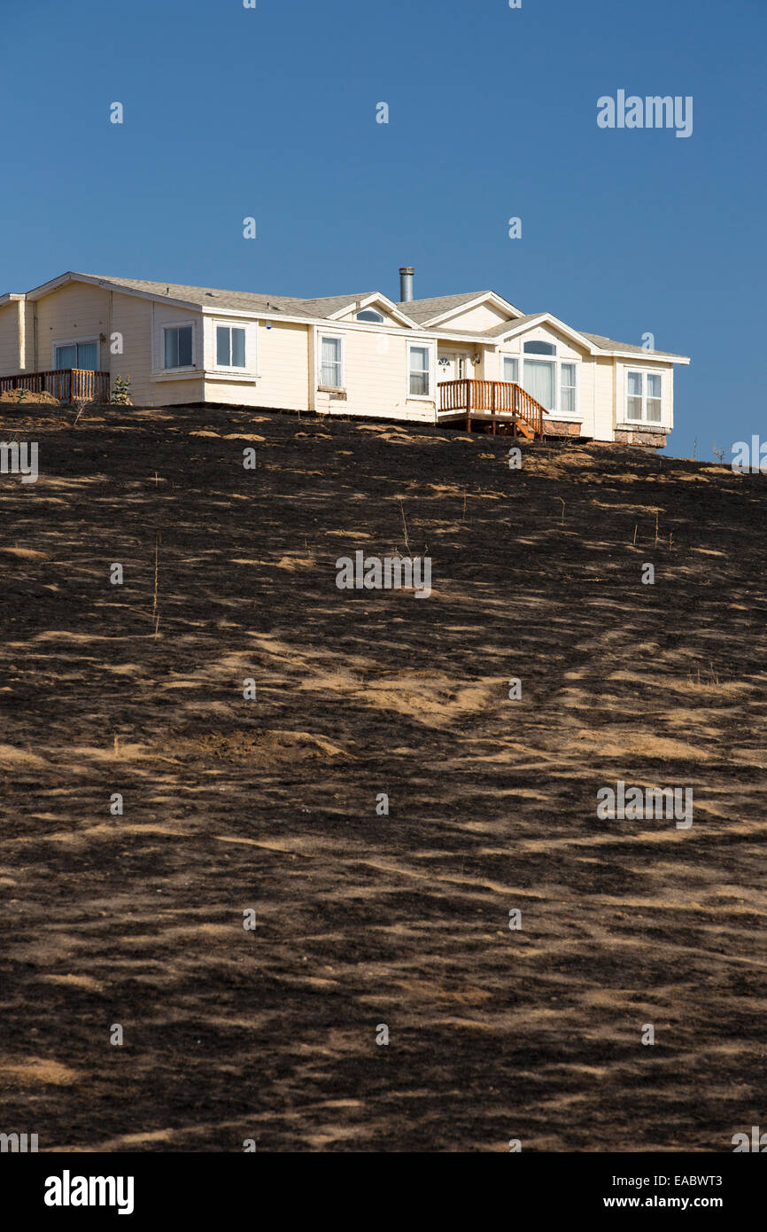 Sol brûlé dans une forêt près de Bakersfield, Californie, USA. À la suite d'une sécheresse sans précédent de quatre ans, Bakersfield i Banque D'Images
