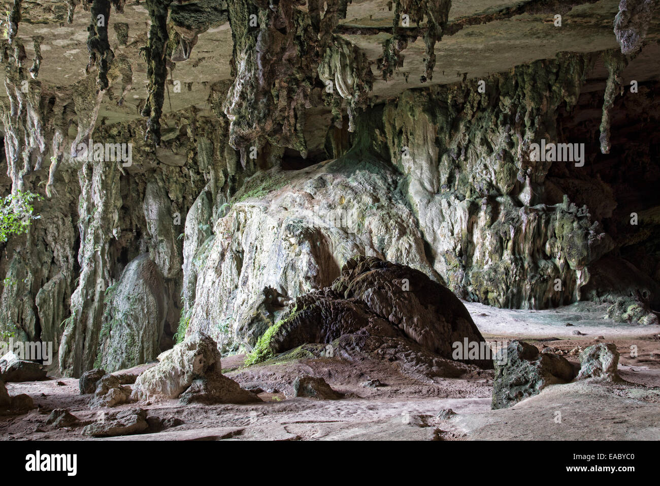 Grotte peinte, Parc National de l'INAH, Sarawak, Malaisie Banque D'Images