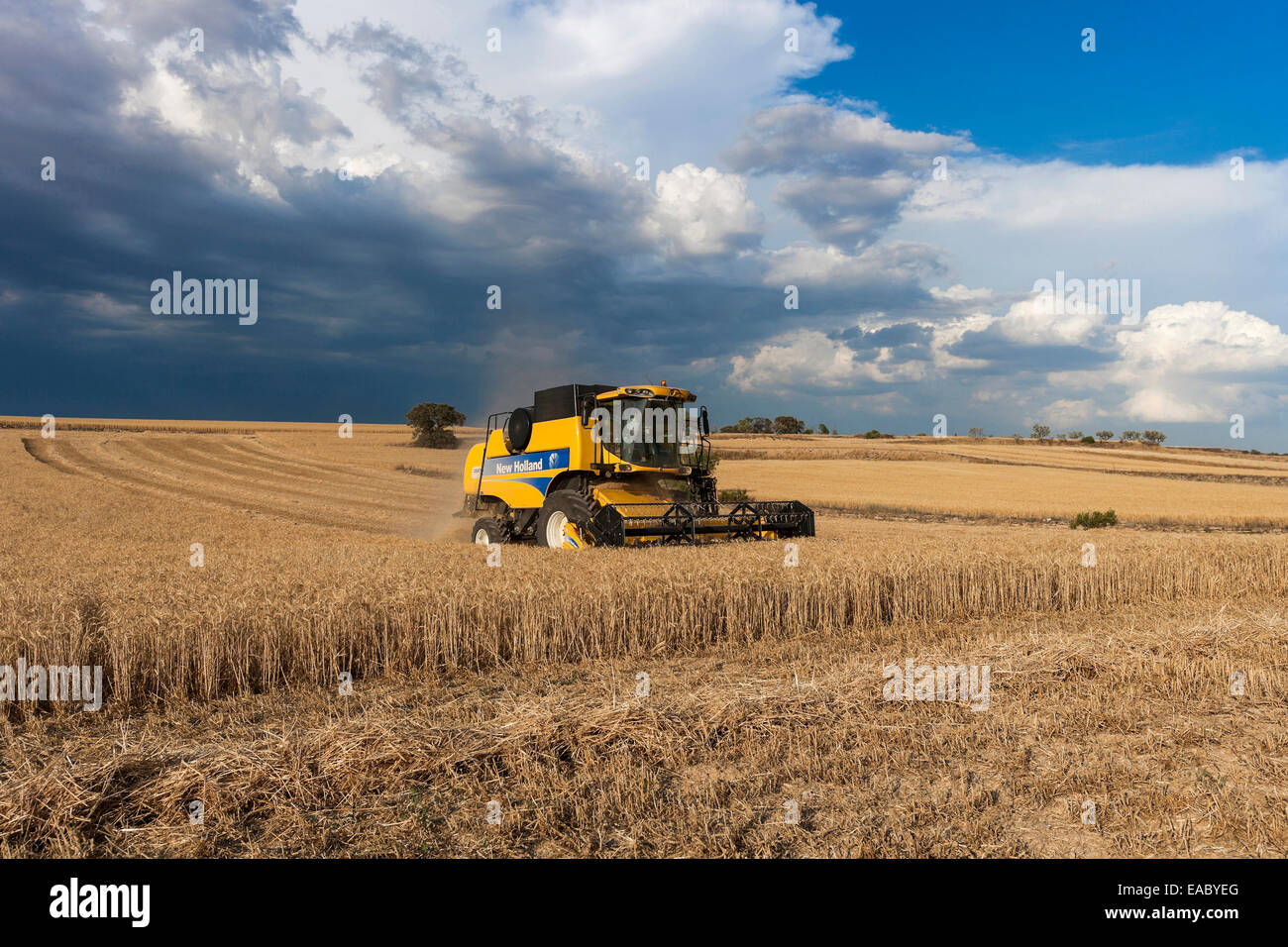 Moissonneuse Batteuse Banque D'Images