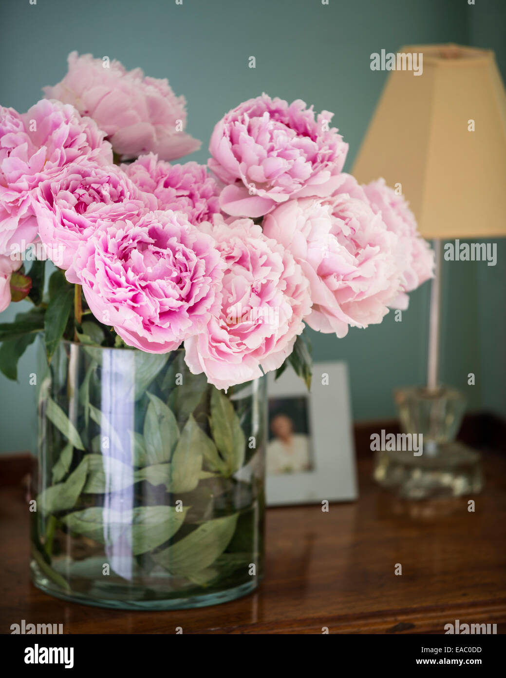 Les Pivoines rose vase en verre Banque D'Images