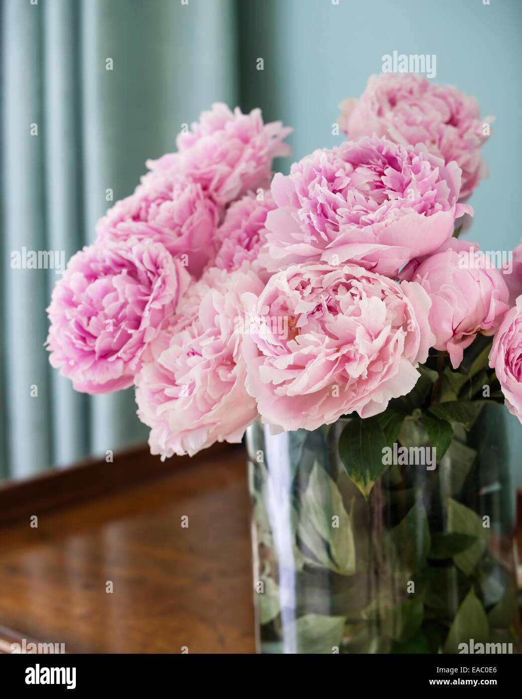 Les Pivoines rose vase en verre Banque D'Images