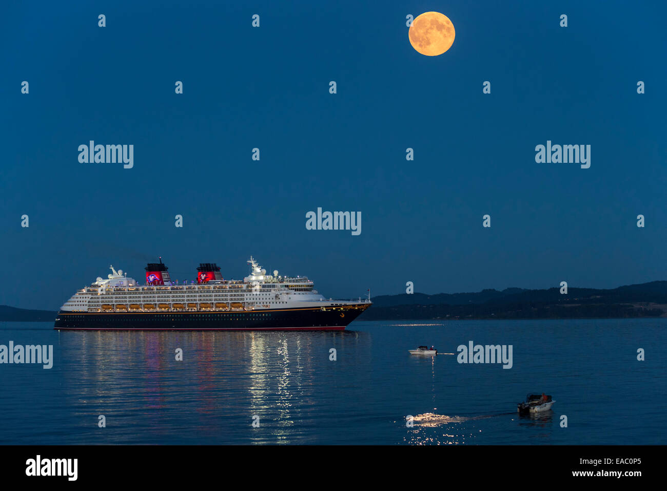 Bateau de Croisière Disney Wonder arrivant au port de Victoria, à l'aube-Victoria, Colombie-Britannique, Canada. Banque D'Images