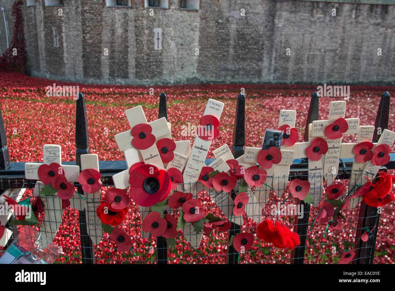 Hommages aux soldats tués à la guerre. Tour de Londres, Angleterre. Novembre 2014 Banque D'Images