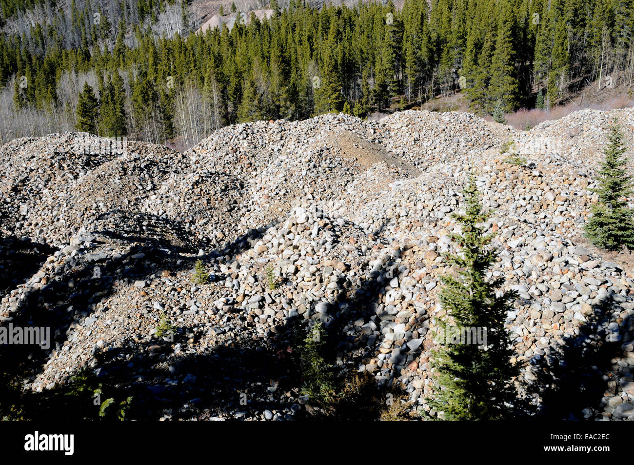 Des piles de roches à gauche en Français Gulch, Breckenridge. Elles ont été faites par le géant dragueurs qui a travaillé le ravin de l'or. Banque D'Images