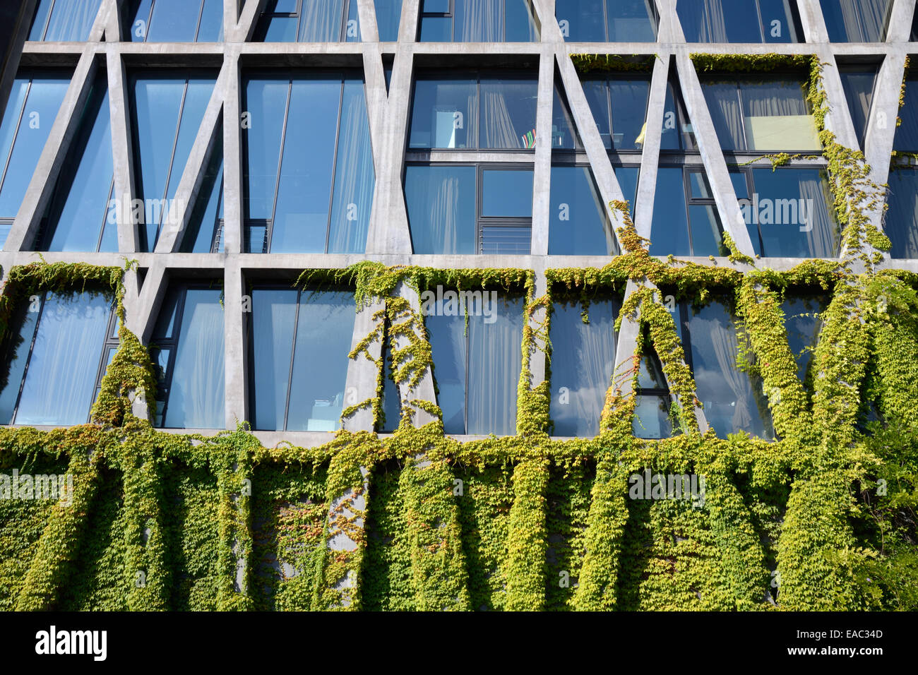 Modèle de fenêtre cadre concret et vigne sur le pavillon noir de Rudy Ricciotti Aix-en-Provence France Banque D'Images