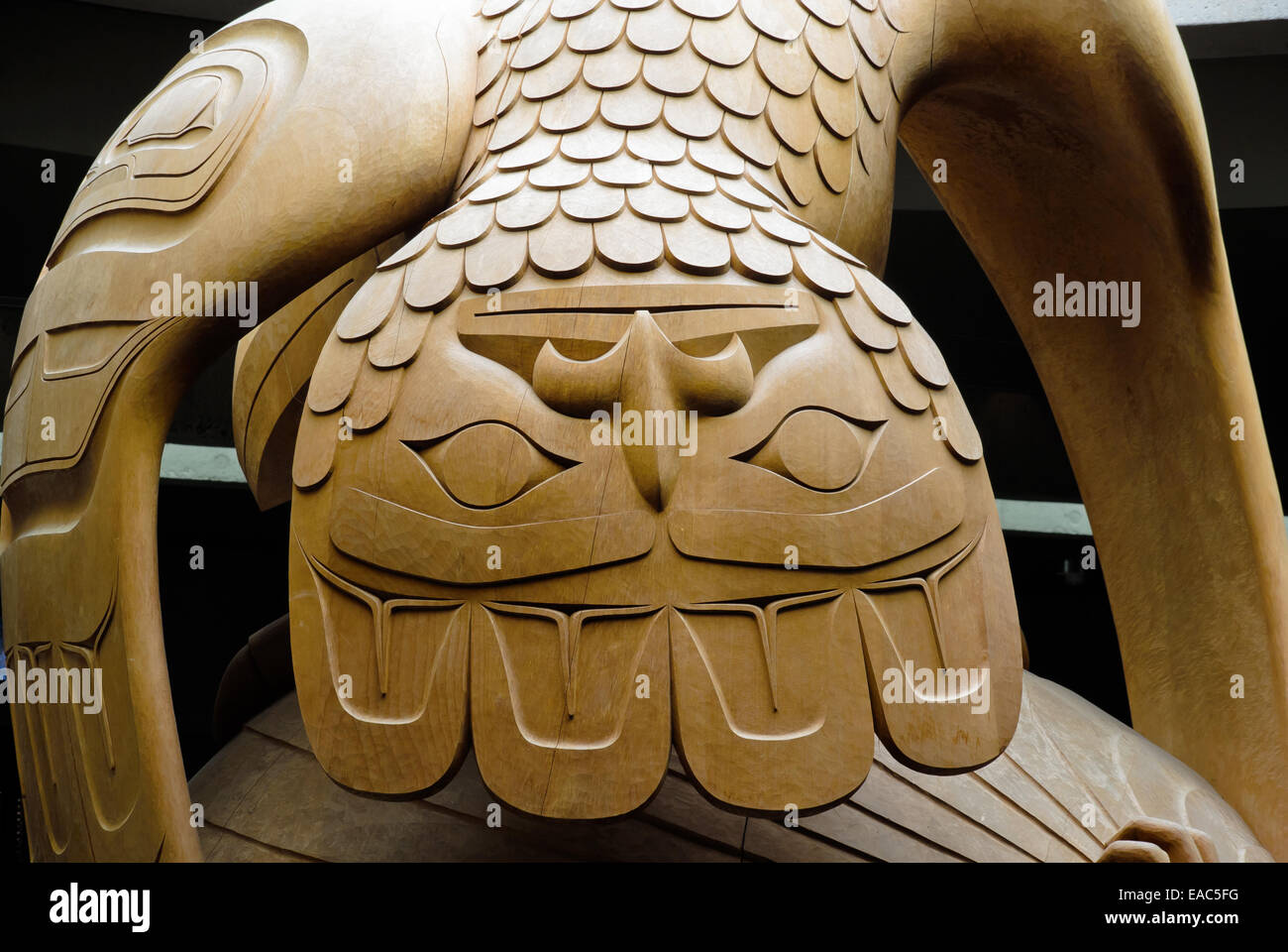 Voir le détail de l'arrière de Raven Le Corbeau et les premiers hommes Banque D'Images