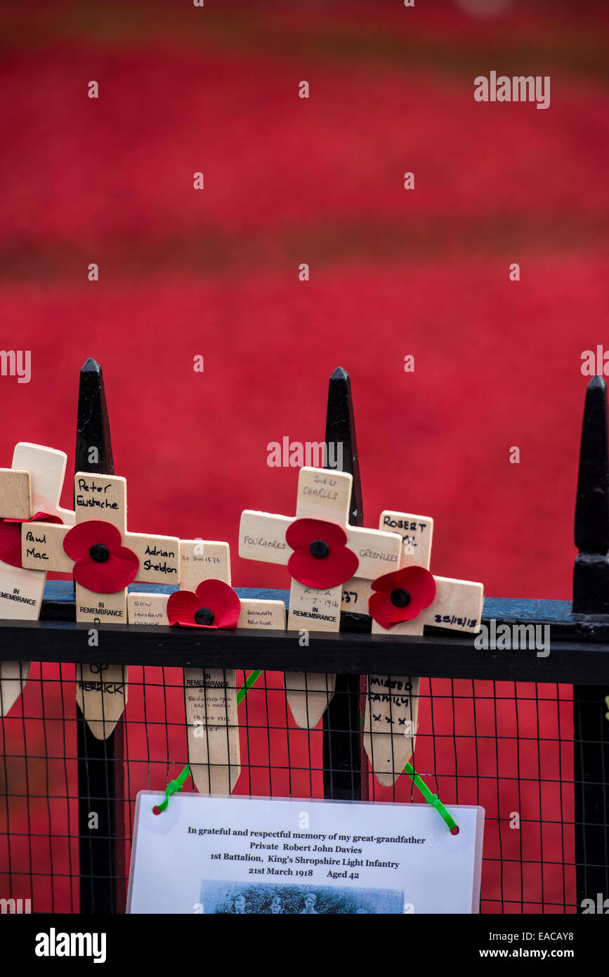 Libre de la croix sur fond de coquelicots en céramique à la 'Blood a balayé les terres et les mers de l'installation Red' à la Tour de Londres. Banque D'Images