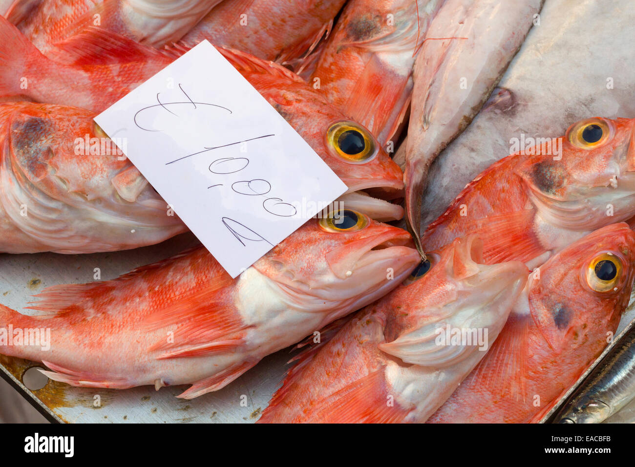 Marché aux poissons de Catane Sicile Italie Banque D'Images