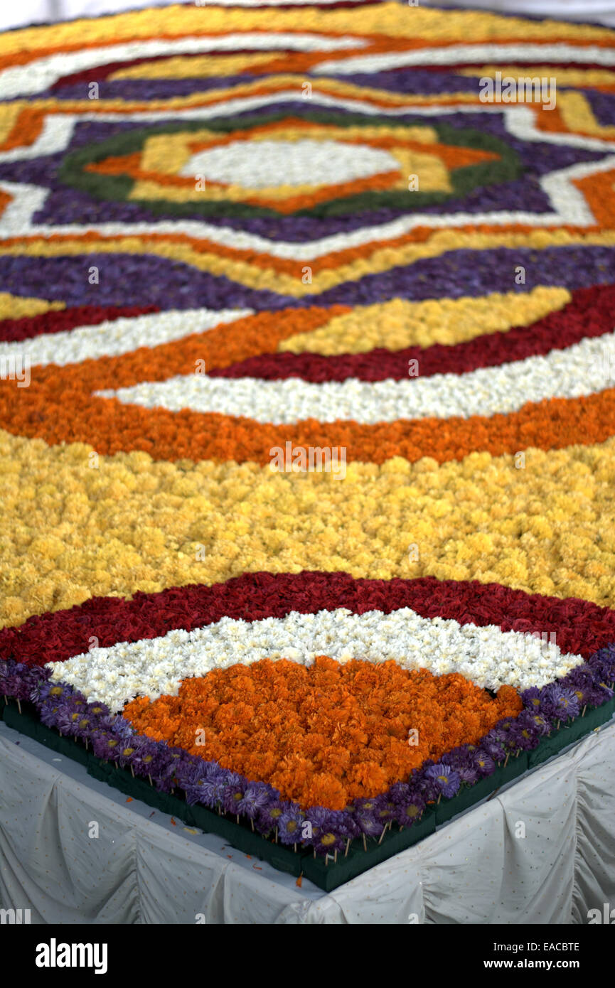 Pookalam géant floral fleur réalisé au cours de l'Onam Festival à Kerala. Banque D'Images