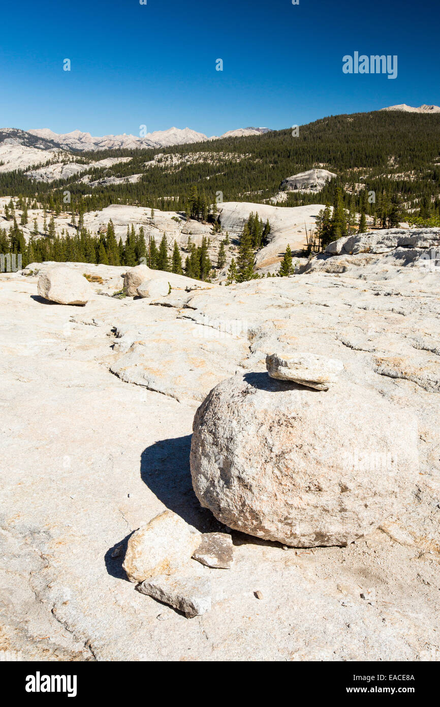 Un dôme de granit dans la région de Yosemite National Park, California, USA. Banque D'Images