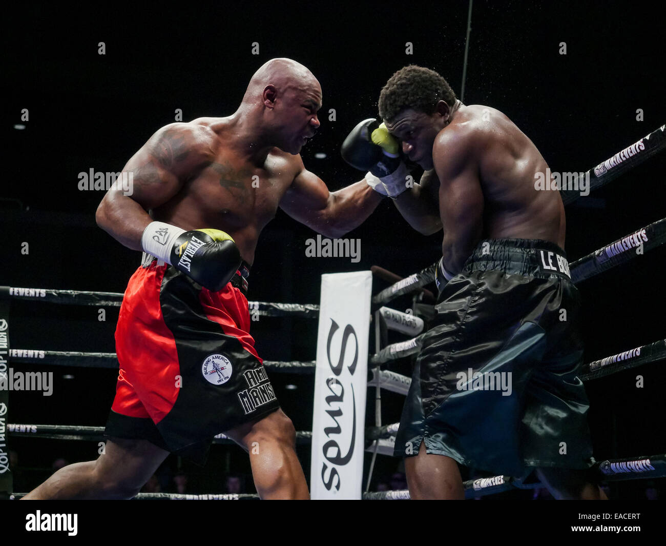 Bethlehem, Pennsylvanie, USA. Nov 8, 2014. AMIR MANSOUR (lignes rouges) et FRED KASSI bataille dans un combat de poids lourds au Sands Event Center au Sands Casino à Bethlehem, Pennsylvanie. © Joel Plummer/ZUMA/Alamy Fil Live News Banque D'Images