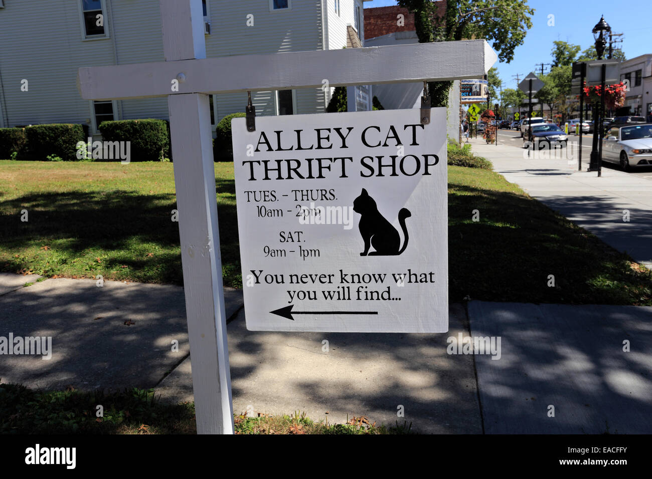 Thrift Shop sign Riverhead Long Island New York Banque D'Images