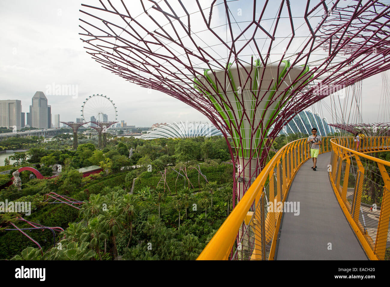 L'homme sur skyway à pied par dessus des grands arbres artificiels, vaste vue de ville & emerald paysage à Singapour Gardens By The Bay Banque D'Images