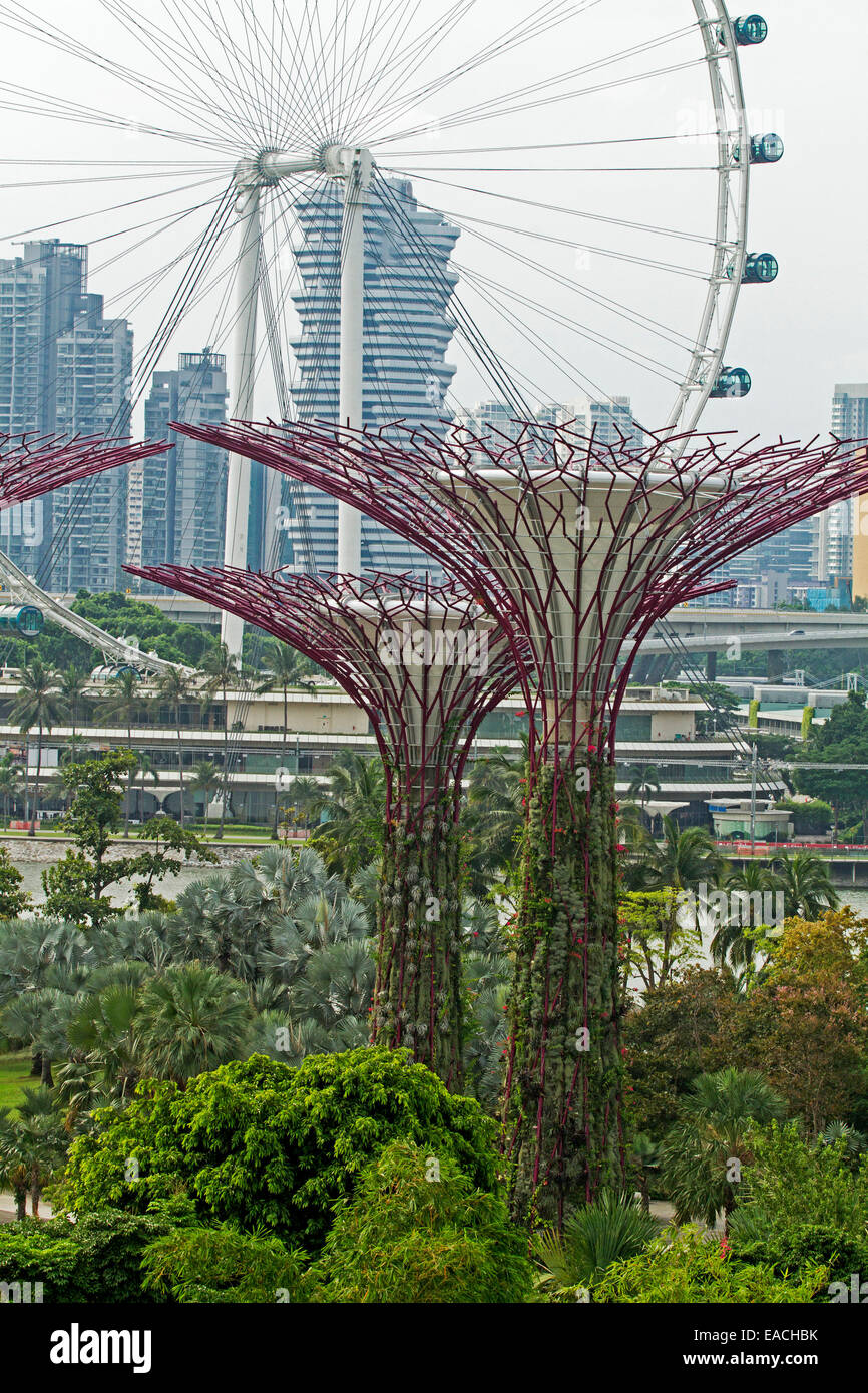 Vue spectaculaire de la ville, arbres artificiels et roue d'observation à partir de la plate-forme skyway de Singapour en immenses jardins de la baie Banque D'Images