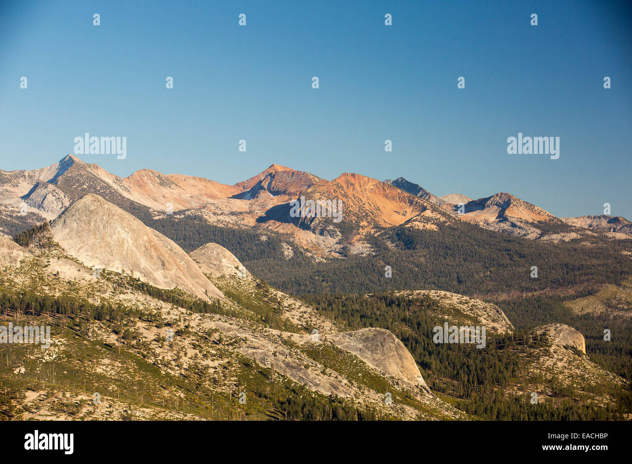 Pacific Crest Trail montagnes depuis Sentinel Dome à Yosemite National Park, California, USA. Banque D'Images